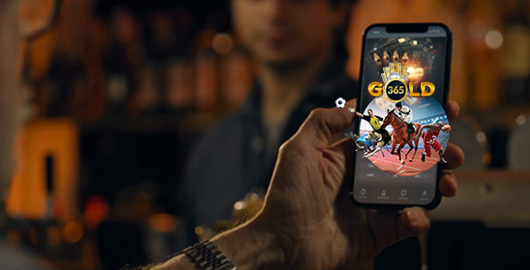 Gold365 Features
